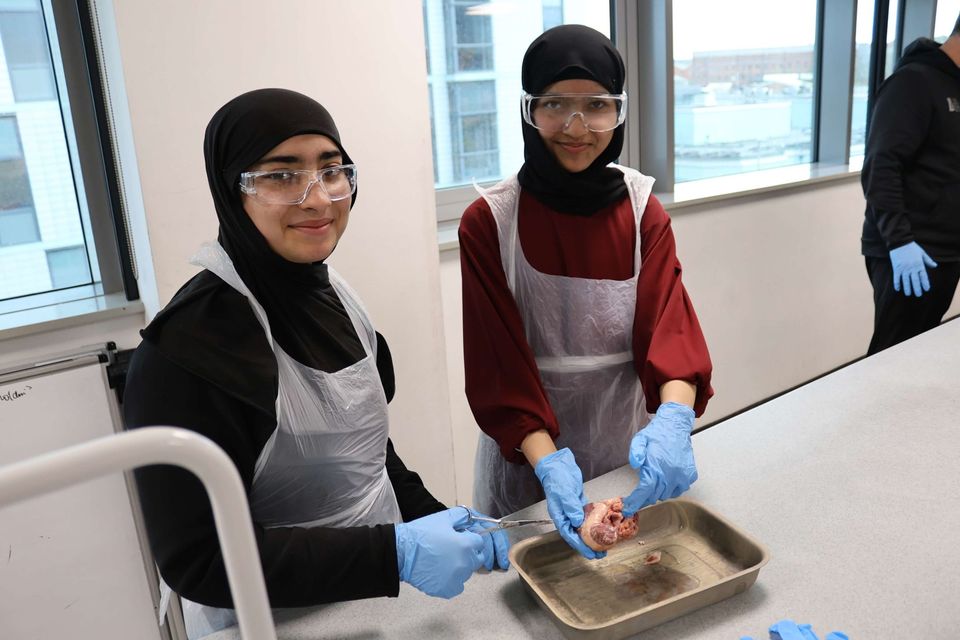 Image of students at Future Honours session